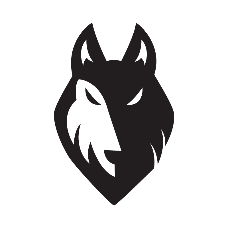 BlackWolf Gaming Energy Fuel Review